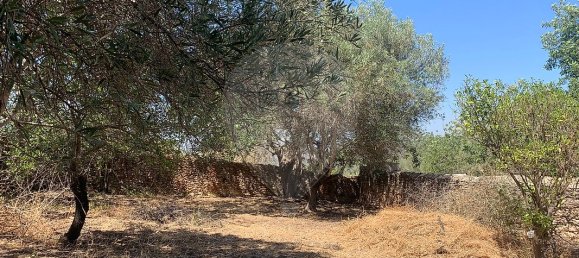 2 غرف نوم منزل في Paderne, Portugal رقم 29367 6