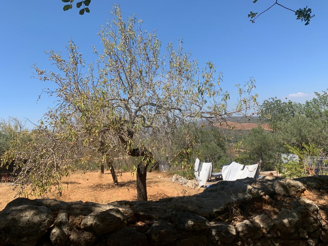 2 غرف نوم منزل في Paderne, Portugal رقم 29367