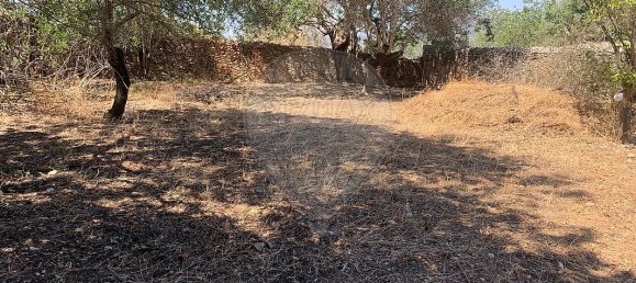 2 غرف نوم منزل في Paderne, Portugal رقم 29367 5