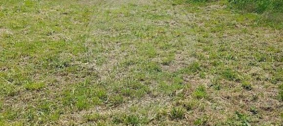 2 غرف نوم فيلا في Moimenta da Beira, Portugal رقم 177374 12