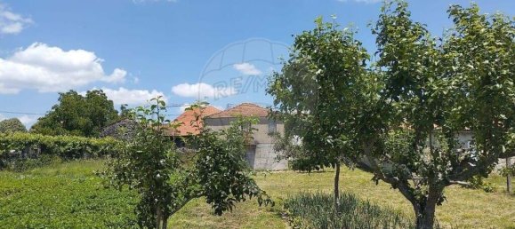 2 غرف نوم فيلا في Moimenta da Beira, Portugal رقم 177374 14