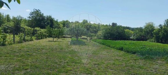 2 غرف نوم فيلا في Moimenta da Beira, Portugal رقم 177374 11