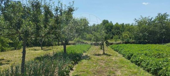 2 غرف نوم فيلا في Moimenta da Beira, Portugal رقم 177374 13