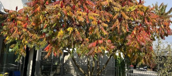 Casa de 5 divisões em Sierning, Austria N.º 55036 2