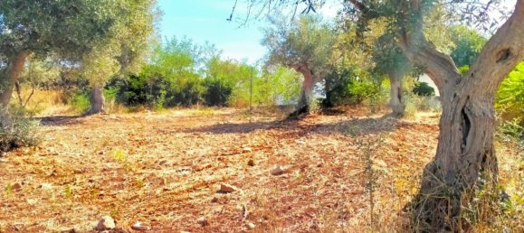 Дом с 4 комнатами в Монополи, Италия № 17249 18