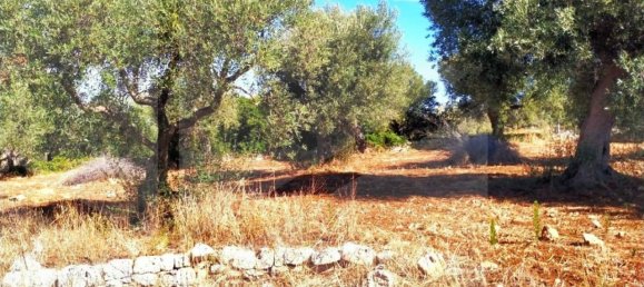 Дом с 4 комнатами в Монополи, Италия № 17249 15