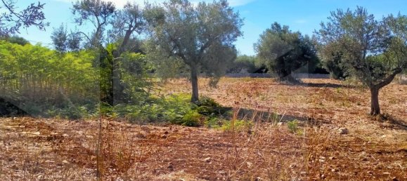 Дом с 4 комнатами в Монополи, Италия № 17249 17