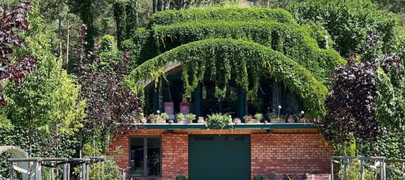 10-Zimmer Gewerbliche Immobilie in Märkisch-Oderland, Germany, Nr. 218927 28