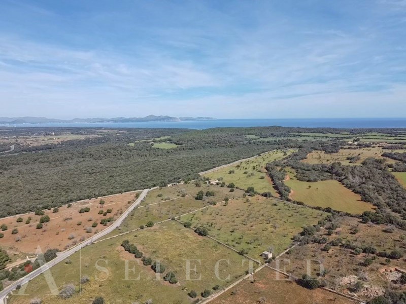  Land in Petra, Spain No. 73203