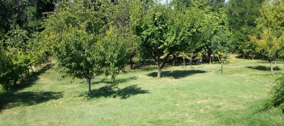 8 rooms House in Grottazzolina, Italy No. 153144 15