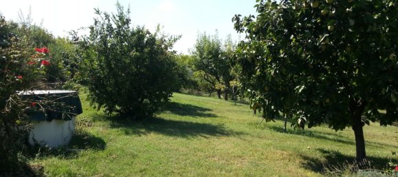 8 rooms House in Grottazzolina, Italy No. 153144 18