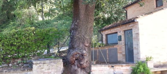 8 rooms House in Grottazzolina, Italy No. 153144 50