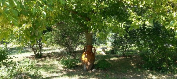 8 rooms House in Grottazzolina, Italy No. 153144 19