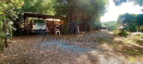 5 rooms Apartment in Cecina, Italy No. 20491 3