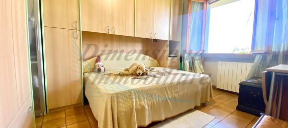 5 rooms Apartment in Cecina, Italy No. 20491 26