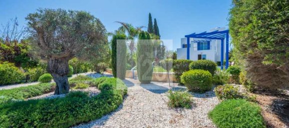 Imóvel comercial T3 em Polis, Cyprus N.º 106412 11