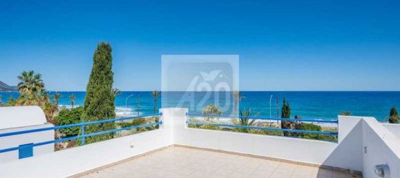 Imóvel comercial T3 em Polis, Cyprus N.º 106412 10