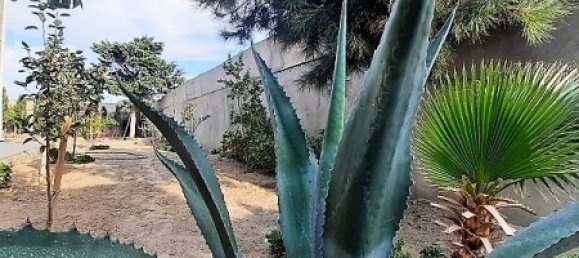 4 chambres Maison à Khazar, Azerbaijan No. 15 3