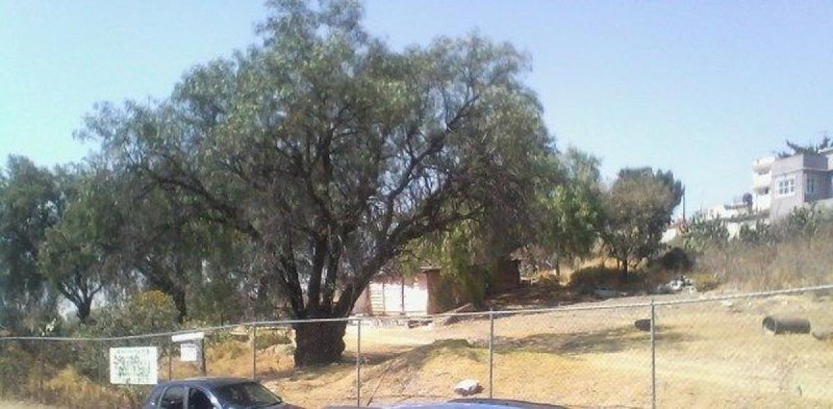  Land in Naucalpan de Juarez, Mexico No. 203415