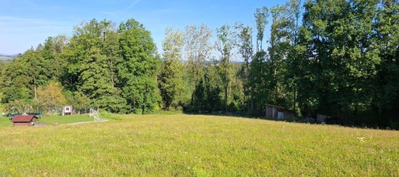 Grundstück in St. Martin im Mühlkreis, Austria 2223m², Nr. 243666 2