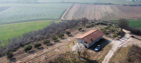 100000m² Land in Albettone, Italy No. 255462 8