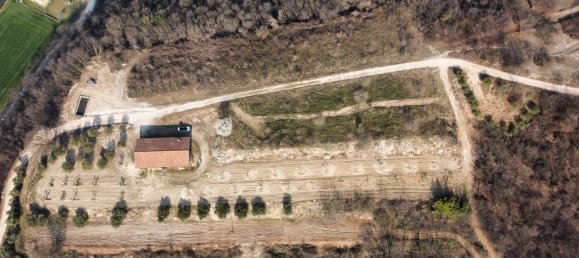 100000m² Land in Albettone, Italy No. 255462 2