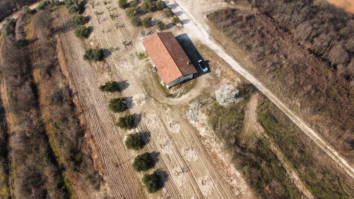 100000m² Land in Albettone, Italy No. 255462