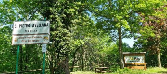 10-Zimmer Doppelhaus in San Pietro Avellana, Italy, Nr. 237996 30