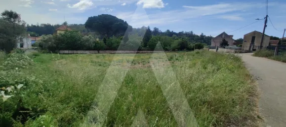  Land in Macinhata do Vouga, Portugal No. 93211 6