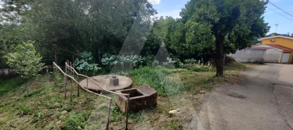  Land in Macinhata do Vouga, Portugal No. 93211 3