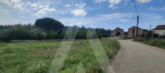  Land in Macinhata do Vouga, Portugal No. 93211 5