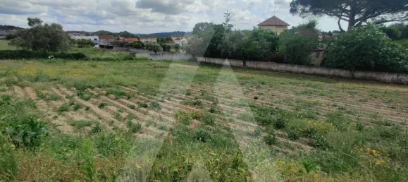  Land in Macinhata do Vouga, Portugal No. 93211 4