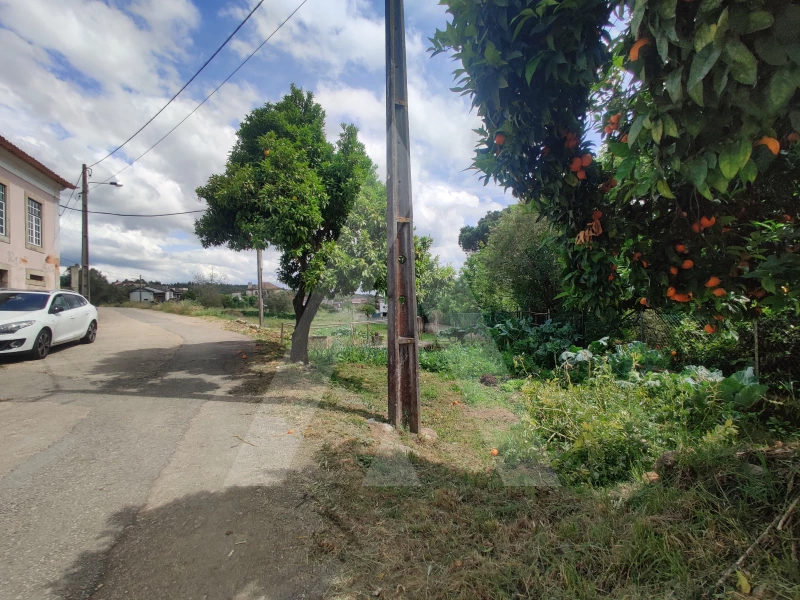  Land in Macinhata do Vouga, Portugal No. 93211