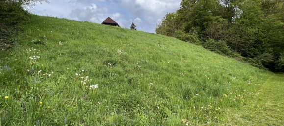 Terreno em Sinabelkirchen, Austria 3300 m² N.º 130599 4