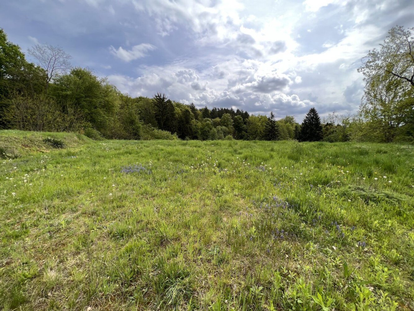 Terreno em Sinabelkirchen, Austria 3300 m² N.º 130599