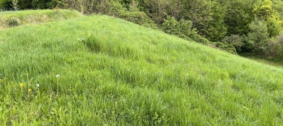 Terreno em Sinabelkirchen, Austria 3300 m² N.º 130599 5