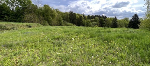 Terreno em Sinabelkirchen, Austria 3300 m² N.º 130599 3