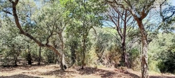 6 غرف نوم منزل في Calonge, Spain رقم 190234 33