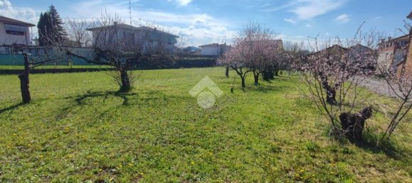 1620m² Land in Castellar Guidobono, Italy No. 98548 2