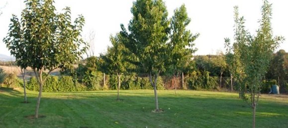 10-Zimmer Haus in Sutri, Italy, Nr. 85760 13