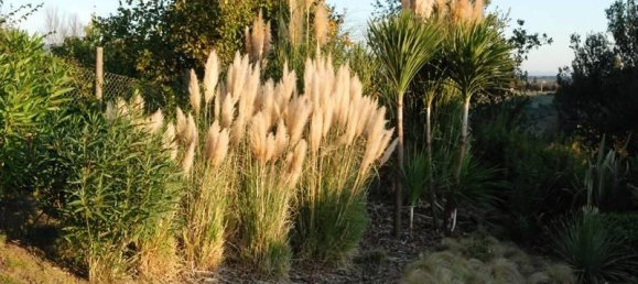 10-Zimmer Haus in Sutri, Italy, Nr. 85760 15