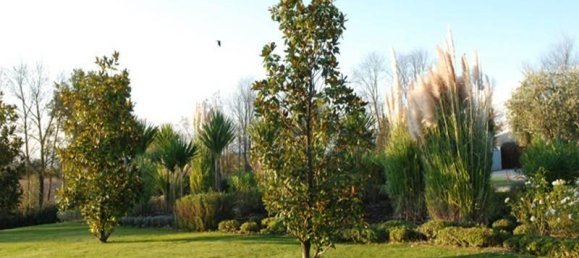 10-Zimmer Haus in Sutri, Italy, Nr. 85760 19