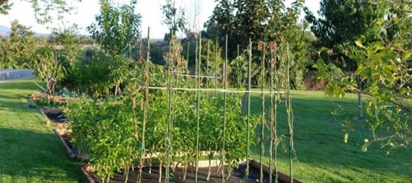 10-Zimmer Haus in Sutri, Italy, Nr. 85760 24