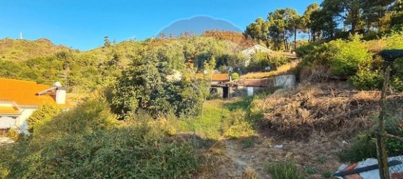 1 bedroom House in Tondela, Portugal No. 166914 3