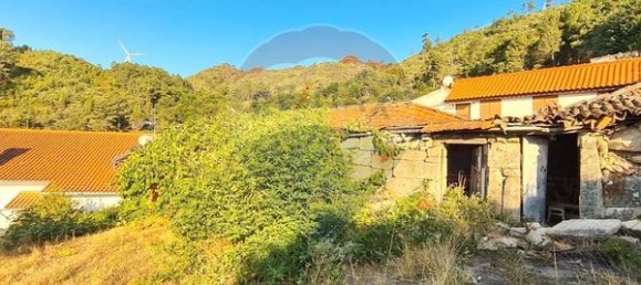 1 bedroom House in Tondela, Portugal No. 166914 4