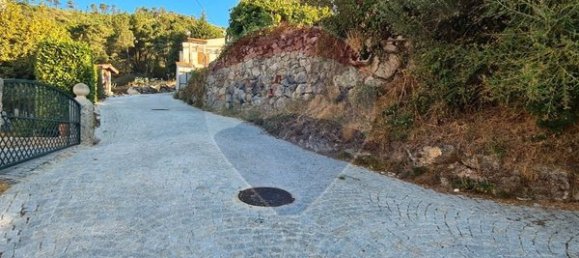 1 bedroom House in Tondela, Portugal No. 166914 7