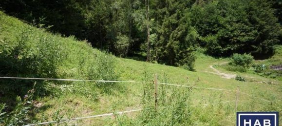 Terrain à Liezen, Austria No. 203366 2