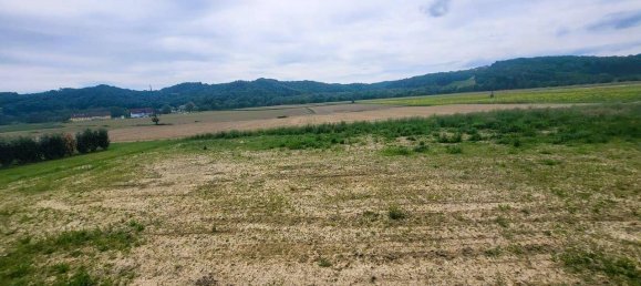 Земельный участок в Бад Лойперсдорф, Австрия № 228251 14