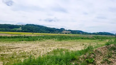 Земельный участок в Бад Лойперсдорф, Австрия № 228251