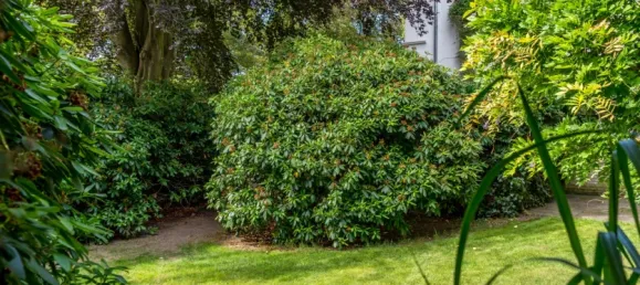 Здание с 5 спальнями в Ольденбург, Германия № 310396 26